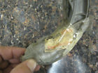 21l-w2535-00-00 Yamaha Oem Brake Shoe Set Nos Yom