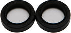 55-106 All Balls Fork Seal