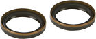 55-145 All Balls Fork Seal
