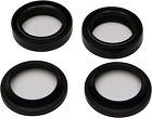 56-116 All Balls Fork And Dust Seal Kit