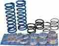 P01p340 Race Tech Qfsk Spring Kt Series 340
