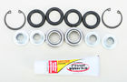 Pwtak-p02-000 Pivot Works Trailing Arm Bearing Kit