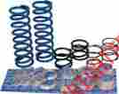 S05p340 Race Tech Qfsk Series P340 Sprg Kit