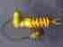 S46pr1c2ls Ohlins 2004 2005 Suzuki Gsxr 600 750 Su347 Shock