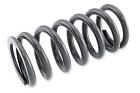 Srsp552456 Racetech Race Tech Shock Spring