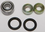 Balls 29-1008 Shock Bearing Seal Kit. Fixed Price $33.41.