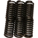 Ebc Brakes Clutch Springs CSK30. Fixed Price $18.30.