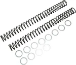 Race Tech Fork Spring 0.46 Kg/mm Pair Bmw G450X 09-10. Fixed Price $152.87.