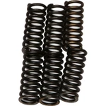 Ebc Brakes Clutch Springs CSK14. Fixed Price $18.30.