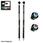 Fork Kit Bmw 1000 Rr (K46) 2015-2018 Matris F25B310SA Front. Fixed Price $1885.59.