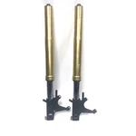 Front Fork Shock Suspension Assy Honda CBR1000RR 2008-2011 2009 2010. Fixed Price $577.77.