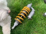1996 Ducati 900SS Supersport Desmodue Genuine Oem Showa Rear Suspension Shock. Fixed Price $75.00.