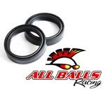 Balls Racing Fork Seal Kit 55-120. Fixed Price $19.20.