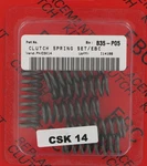 Series Clutch Springs +15% Ebc CSK14. Fixed Price $19.95.