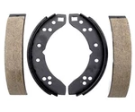 Raybestos ELEMENT3 Brake Shoes 316PG. Fixed Price $30.00.