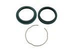 Skf KITG-48S-HD, 115-0484H 48MM Fork Seal Nos. Fixed Price $39.95.