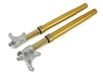 FGRT219 Front Forks Ohlins FGRT200 Gold Yamaha Yzf R6 / MT-10 R1. Fixed Price $3242.24.