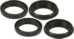 Balls Fork & Dust Seal Kit 56-166 2009-2018 Beta Evo 4T 250. Fixed Price $39.93.
