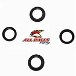 Balls Fork & Dust Seal Wiper Kit 56-123. Fixed Price $38.50.