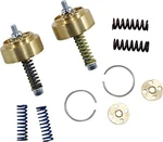 Race Tech Gold Valve Cartridge Fork Emulator 41MM #fegv S4101. Fixed Price $162.70.