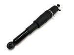 Caco 4392017002 Shock Absorber For Gmc Chevrolet New Free Fast Ship. Fixed Price $112.00.