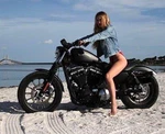 Progressive 440 Series Billet Gas Shocks 11" Shorty Harley Sportster Dyna Bobber. Fixed Price $319.95.