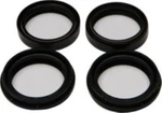 Balls- Fork & Dust Seal Wiper Kit- Oem 22-56133. Fixed Price $33.46.