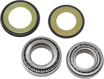 1982 Kawasaki KZ750R1GP Motorcycle Balls Steering Bearing Kit. Fixed Price $49.10.