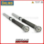 Fgk 235 Fork Cartridge Ohlins Yamaha MT-10 2020 30 Mm. Fixed Price $1816.22.