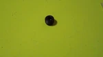 1 Nos Oem Harley Davidson Black Drain Plug P/n 45830-48. Fixed Price $6.25.