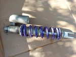 1996 - 2000 Oem Showa Rear Shock Absorber Suspension Damper Spring. Fixed Price $94.98.