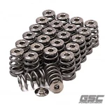 Gsc Power 5044 Beehive Valve Spring With Ti Retainer For Toyota 2JZ. Fixed Price $604.56.