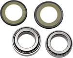 1980 Kawasaki KZ750G1LTD Motorcycle Balls Steering Bearing Kit. Fixed Price $51.50.