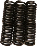 Ebc Series Clutch Springs +15% Kit CSK30. Fixed Price $20.95.
