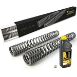 Progressive Fork Springs Bmw F650GS *dakar* *from 2000*. Fixed Price $241.07.