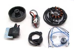 Powerdynamo Vape Ignition Sys Stator For Yamaha 74-81 DT175 B Twin 26OZFLYDC. Fixed Price $656.24.