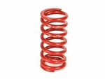 Bbr Spring Set Front & Rear 2004-2026 Kawasaki KLX110 ** Non Models Only. Fixed Price $225.99.