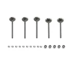 Head Intake & Exhaust Valves Seals Kit Fit For Yamaha 3YF-12121-00 5KM-12111-00. Fixed Price $42.63.